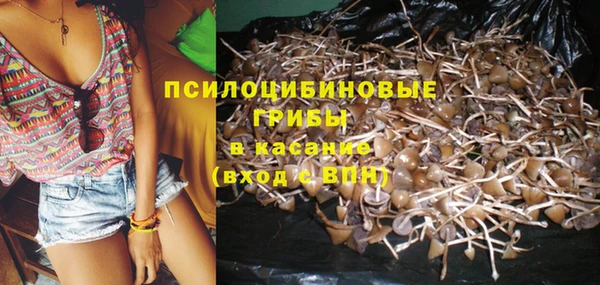 прущая мука Верхний Тагил