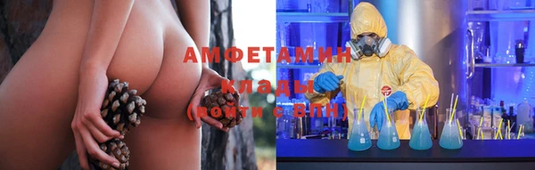 амф Верея