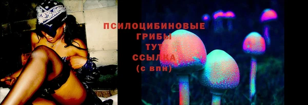 прущий лед Володарск